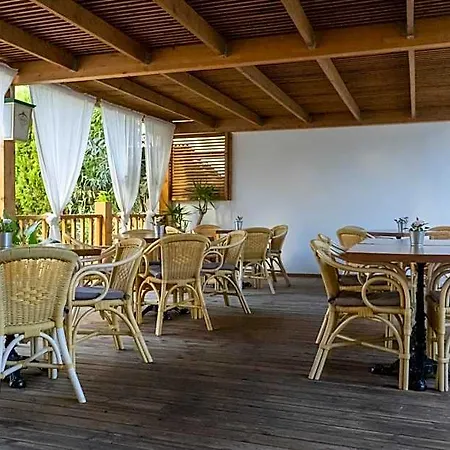 Coral House & Food (adults Only) 2* بلايا ذي بالما